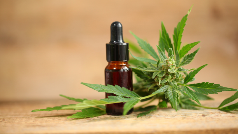No tratamento oncológico, a Cannabis medicinal se destaca pelo potencial terapêutico, ressalta Ciro Antonio Taques.