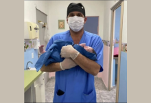 Ciro Antonio Taques mostra como a Cannabis medicinal pode auxiliar no cuidado de pacientes oncológicos.