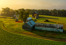 O coliving promove moradia compartilhada entre gerações, criando conexões e reduzindo custos, explica Alex Nabuco dos Santos.