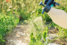 João Eustáquio De Almeida Junior apresenta estratégias de controle de pragas para reduzir perdas na agricultura.