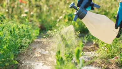 João Eustáquio De Almeida Junior apresenta estratégias de controle de pragas para reduzir perdas na agricultura.