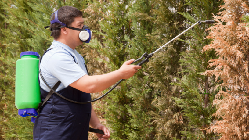 Descubra com João Eustáquio De Almeida Junior como o controle de pragas aumenta a produtividade e protege a lavoura.