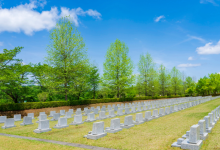 Os serviços funerários pet devem seguir legislação e normas sanitárias rigorosas, afirma Tiago Schietti.