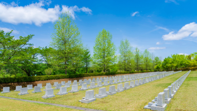 Os serviços funerários pet devem seguir legislação e normas sanitárias rigorosas, afirma Tiago Schietti.