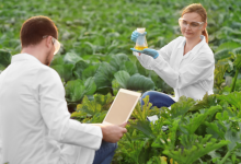 O impacto do engenheiro agrônomo no desenvolvimento agrícola regional e na sustentabilidade do campo é analisado por Alfredo Moreira Filho, que destaca a importância da ciência e da gestão técnica no avanço do setor.