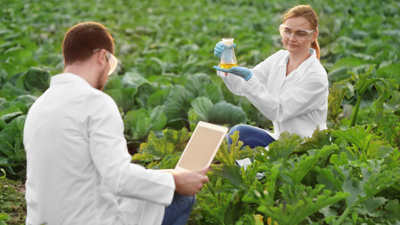 O impacto do engenheiro agrônomo no desenvolvimento agrícola regional e na sustentabilidade do campo é analisado por Alfredo Moreira Filho, que destaca a importância da ciência e da gestão técnica no avanço do setor.