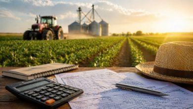 Parajara Moraes Alves Junior